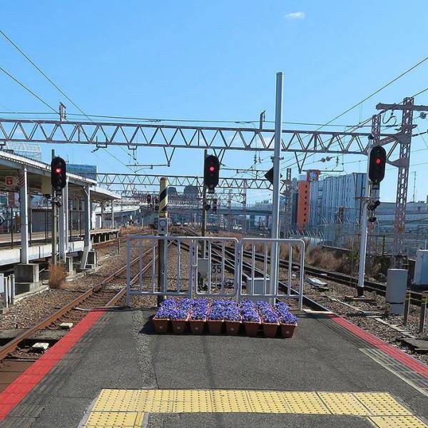 駅にあった大量の空の鉢植え　貼り紙には「申し訳ございません」と書かれており…？