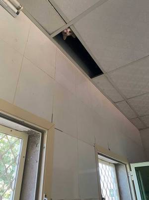 入れ代わり立ち代わり…　『天井の穴』から現れたのは？