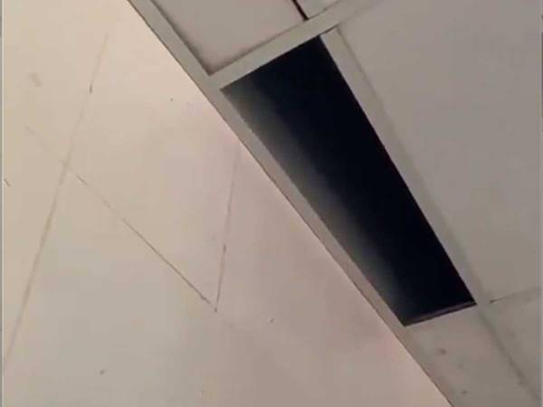 入れ代わり立ち代わり…　『天井の穴』から現れたのは？