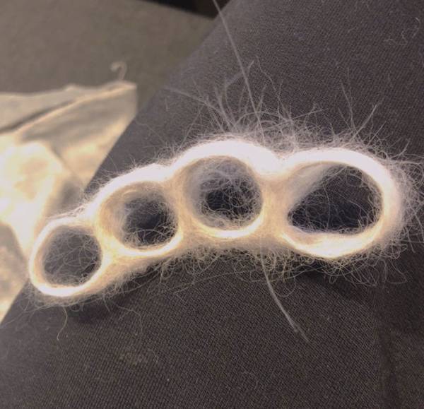 飼い主「猫をなでていたら…」　写真に９万人が『いいね』したワケ