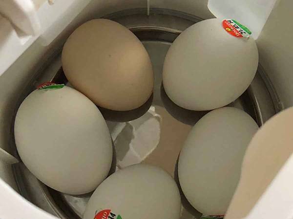 IHもガスコンロもいらない！簡単すぎる半熟ゆで卵の作り方