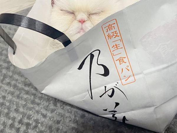 これが『高級食パン』か…？　ちょっと違う写真をご覧ください