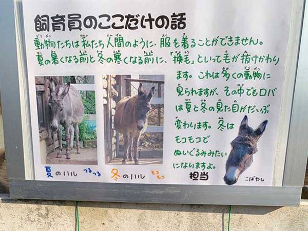 飼育員が書いた『貼り紙』　ちょっとしたミスで子供たちが…？