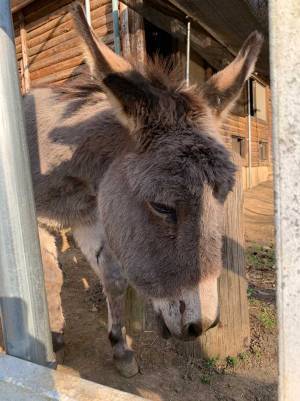 飼育員が書いた『貼り紙』　ちょっとしたミスで子供たちが…？