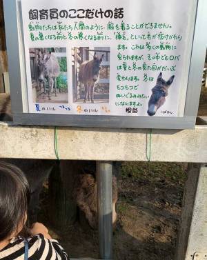飼育員が書いた『貼り紙』　ちょっとしたミスで子供たちが…？