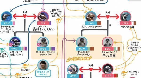 「かわいい」「無限に見ていられる」　ペンギンたちの『複雑な相関図』に注目集まる