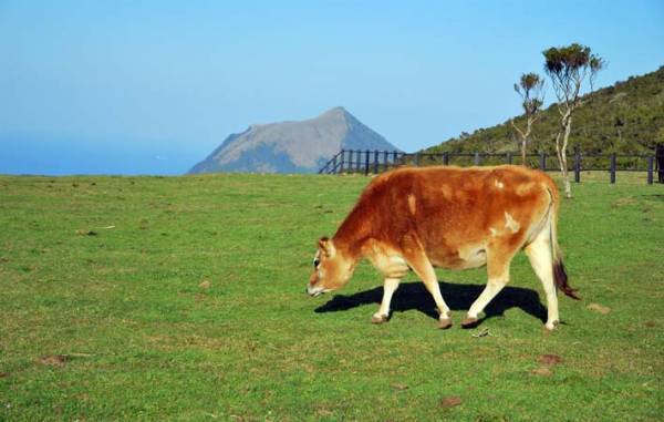 「何を不足に思うか」を考えてみる　そこにあるものの中に豊かさを見いだしていく