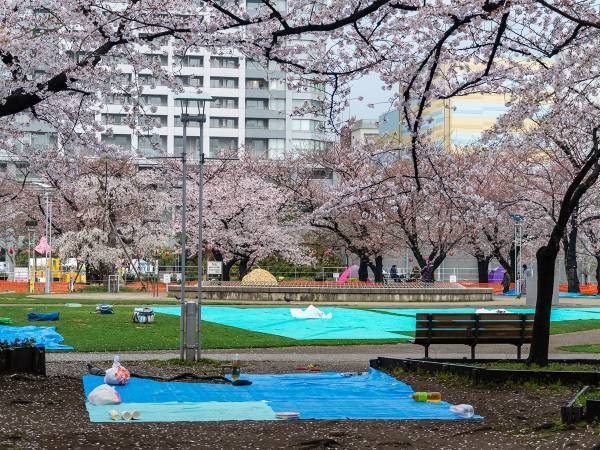 コロナ禍で以前のようには楽しめない花見　そこで登場したサービスが…？