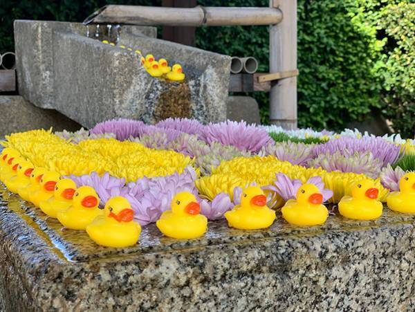 寺の手水で２度も盗難被害にあった寺　優しい人が救いの手を差し伸べ、数日後に急展開！