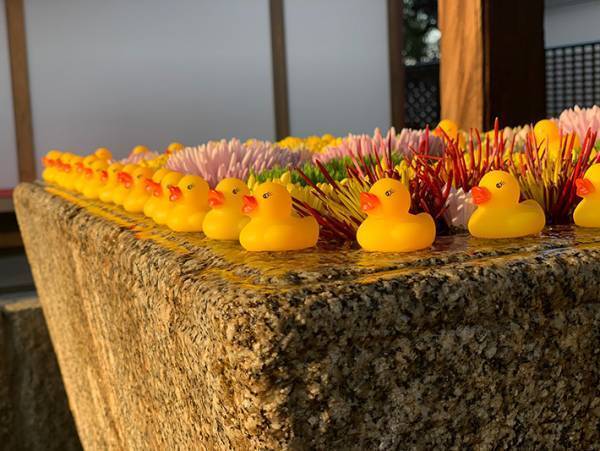 寺の手水で２度も盗難被害にあった寺　優しい人が救いの手を差し伸べ、数日後に急展開！