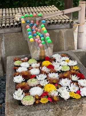 寺の手水で２度も盗難被害にあった寺　優しい人が救いの手を差し伸べ、数日後に急展開！