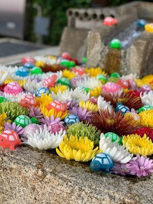寺の手水で２度も盗難被害にあった寺　優しい人が救いの手を差し伸べ、数日後に急展開！