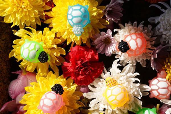 寺の手水で２度も盗難被害にあった寺　優しい人が救いの手を差し伸べ、数日後に急展開！