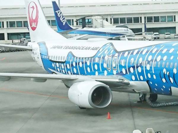 「飛行機に子供ができてた！」　那覇空港での１枚が「最高の光景」と話題に