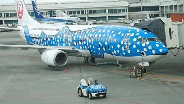 「飛行機に子供ができてた！」　那覇空港での１枚が「最高の光景」と話題に