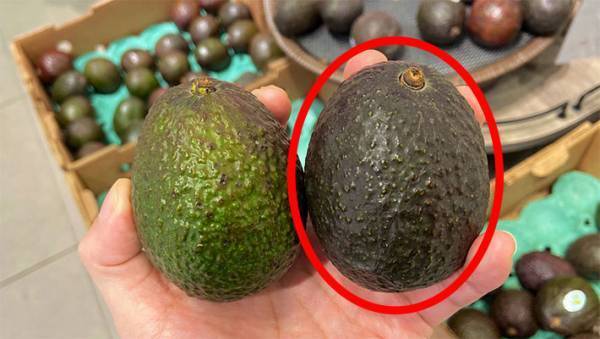 どっちが食べ頃？　失敗しない『アボカドの選び方』に反響　「コレは良い情報」「早速試す」