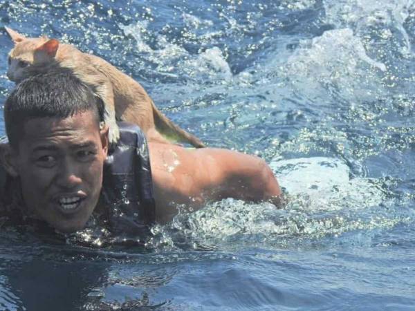 炎上して沈む船から４匹の猫を救出した男性　「涙が出た」「ヒーローだ！」