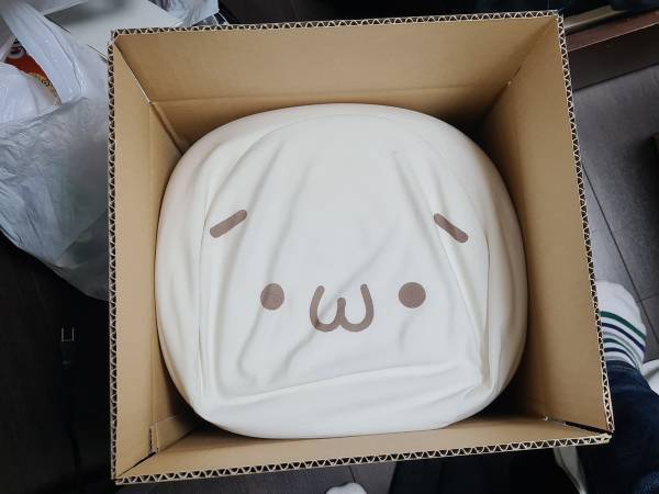 クッションを入れた引っ越し用の段ボール　「有能すぎる」と絶賛した理由は