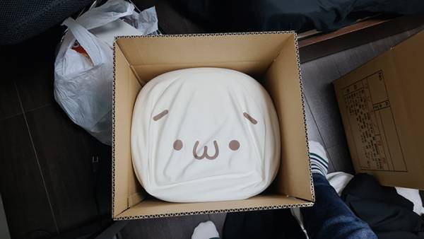 クッションを入れた引っ越し用の段ボール　「有能すぎる」と絶賛した理由は