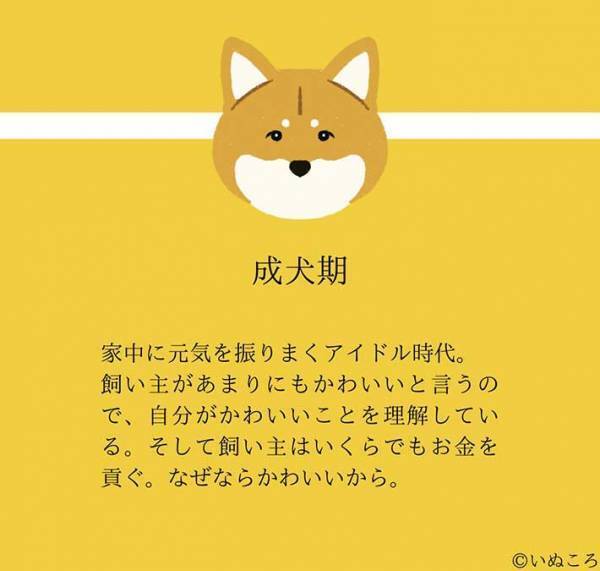 【結論】どの時も犬は最高にかわいい…意味が分かる『４枚』を、ご覧ください
