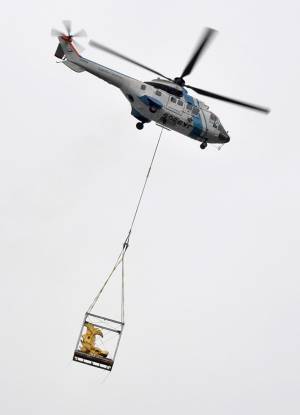 名古屋城の天守から…？　ヘリで運ばれていたものに驚き！