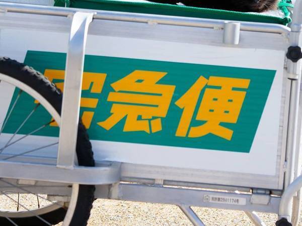 クロネコヤマトの台車の上にいたのは…　「これぞまさに」「休んでた？」の声