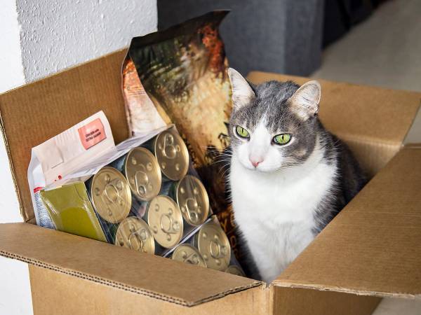 保護猫シェルターに送られてきた支援品　怒りの声が相次いだワケとは