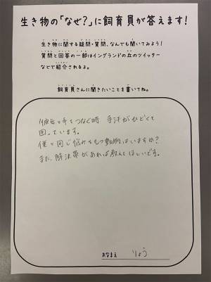 飼育員の回答に「素敵すぎる」「あっぱれ」の声　手汗で困るという相談に対し？