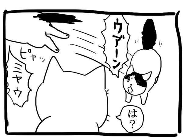 なんでだよ…ッ！？　理不尽な猫の行動に、吹き出す人が続出