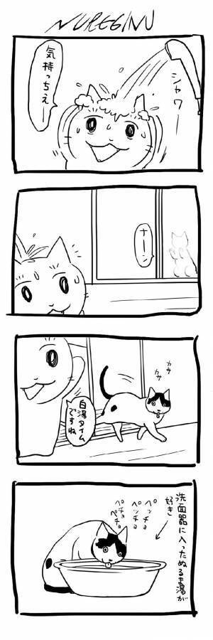 なんでだよ…ッ！？　理不尽な猫の行動に、吹き出す人が続出