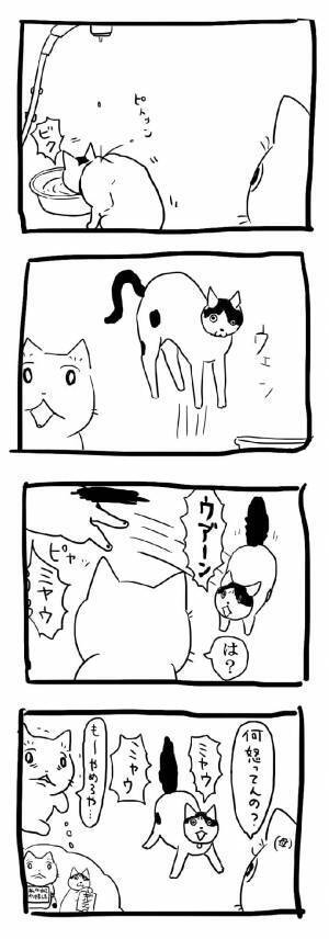 なんでだよ…ッ！？　理不尽な猫の行動に、吹き出す人が続出