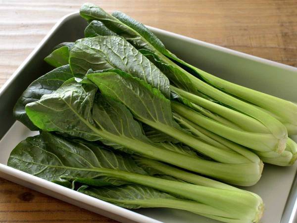 超簡単！　小松菜の保存方法に「いいことを聞いた」の声