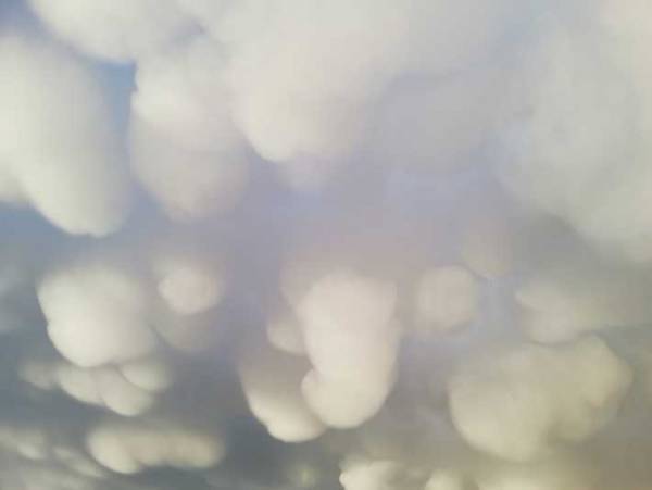 「初めて見た」「これはすごい」　雨あがりに出現した『雲』に１５万人が心奪われる