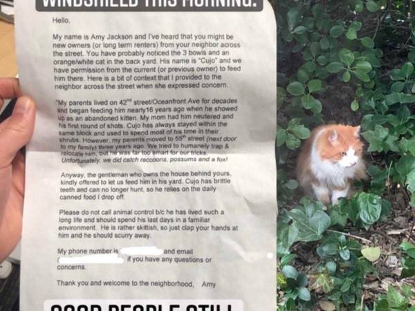 「お宅の庭にいる猫は…」　新居に引っ越した男性　隣人からの手紙に涙する