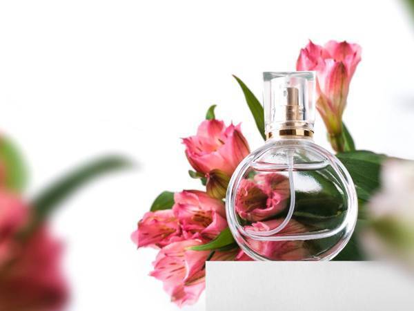 老いていく自分をどう支えるか　それは、「生ききる」ための覚悟なのかもしれない