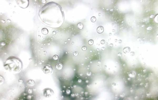 老いていく自分をどう支えるか　それは、「生ききる」ための覚悟なのかもしれない