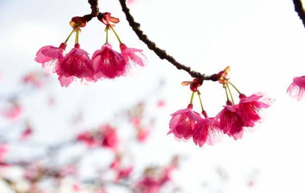 老いていく自分をどう支えるか　それは、「生ききる」ための覚悟なのかもしれない