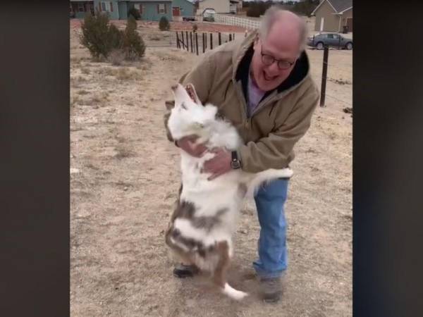 盲目で耳が聞こえない犬　１年ぶりに大好きな人と再会すると…　「泣いた」