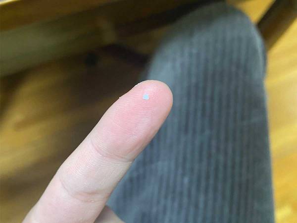 「目がおかしいのかと思った！」　何の変哲もないゴミかと思いきや…