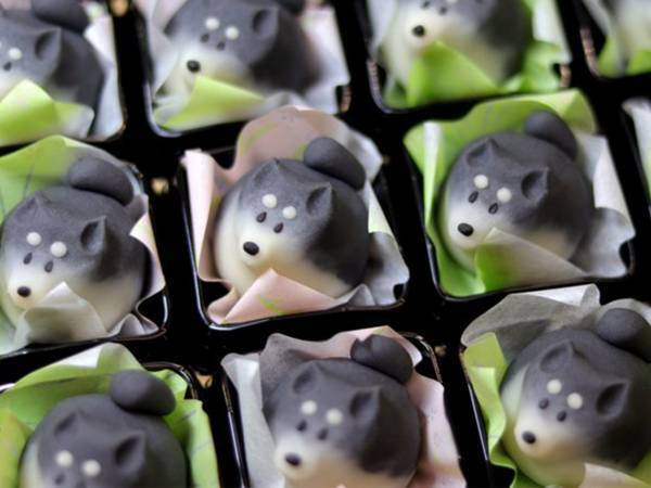 柴犬が和菓子に！？　柴犬好きにはたまらない３つの作品がこちら！