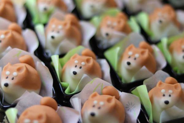 柴犬が和菓子に！？　柴犬好きにはたまらない３つの作品がこちら！