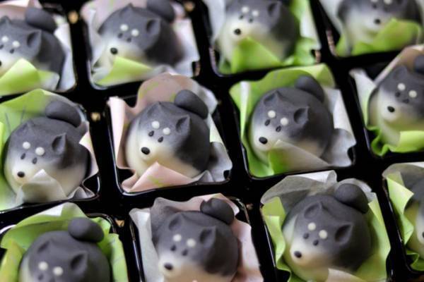 柴犬が和菓子に！？　柴犬好きにはたまらない３つの作品がこちら！