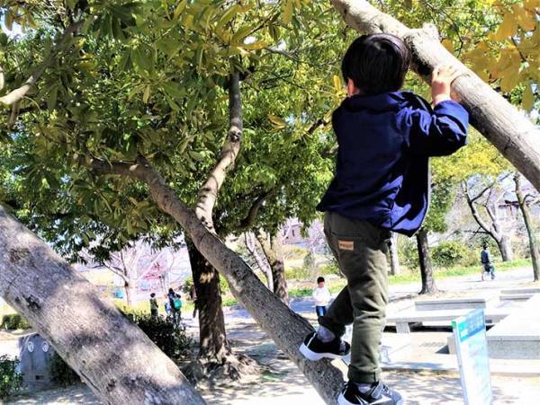 男の子って何ですぐ棒をもつの！？彼らは日々、己と戦っているんです