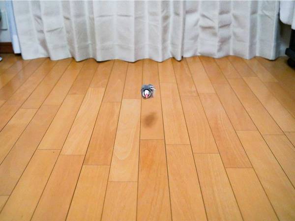 「ジワジワくる」「どうしてこうなったの」　宙に浮いているのは一体？