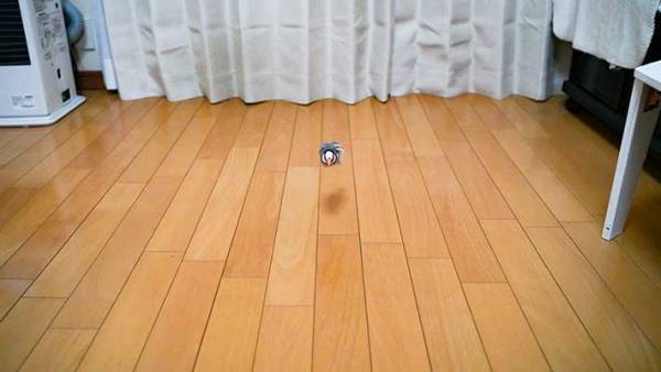 「ジワジワくる」「どうしてこうなったの」　宙に浮いているのは一体？