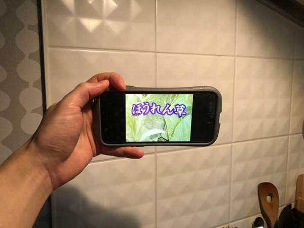 千葉県産ホウレンソウを撮影すると…　２枚に「バスで吹き出したわ」「平和だなあ」