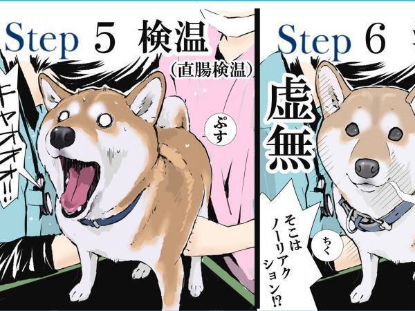 柴犬を予防接種に連れていくと…？　続く展開に共感の声が続出！
