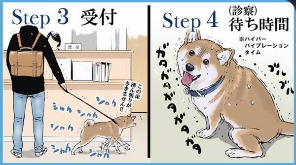 柴犬を予防接種に連れていくと…？　続く展開に共感の声が続出！