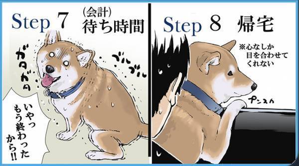 柴犬を予防接種に連れていくと…？　続く展開に共感の声が続出！