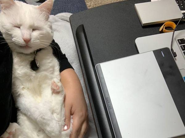 「仕事が遅い理由がこれ」　公開された３枚の写真に「許す！」の声相次ぐ